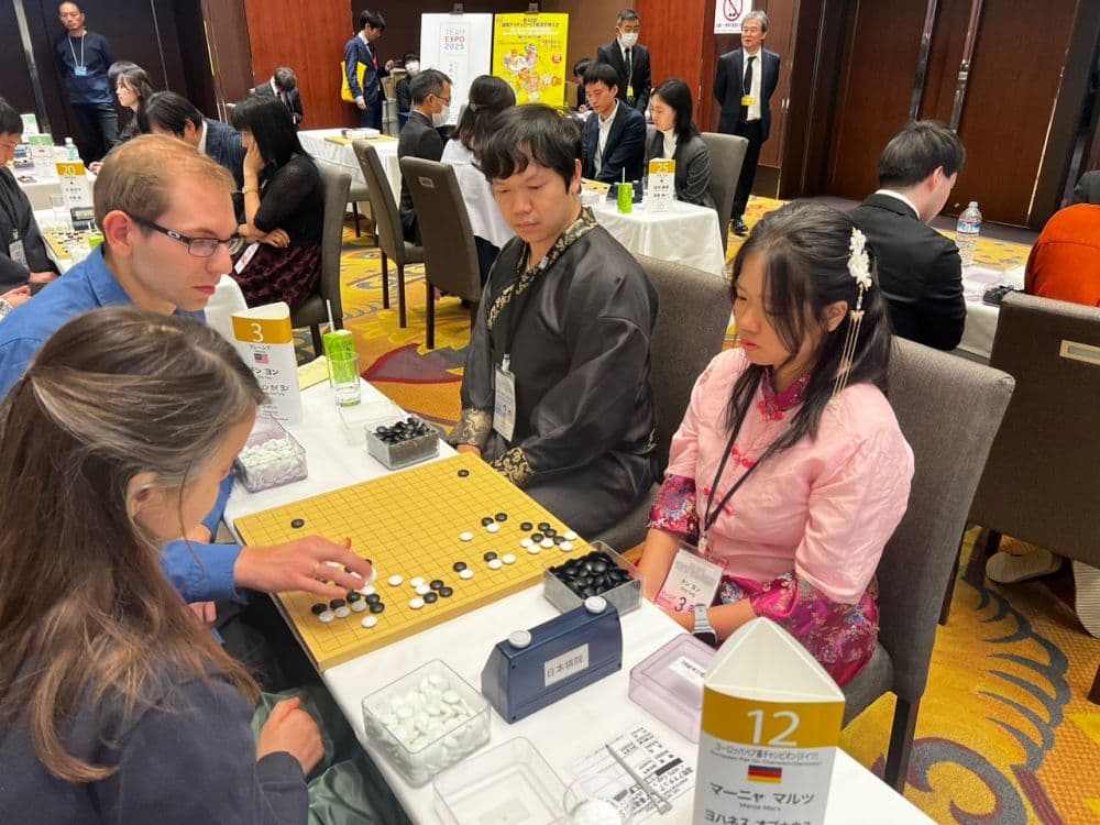 33rd International Pair Go — frame 3